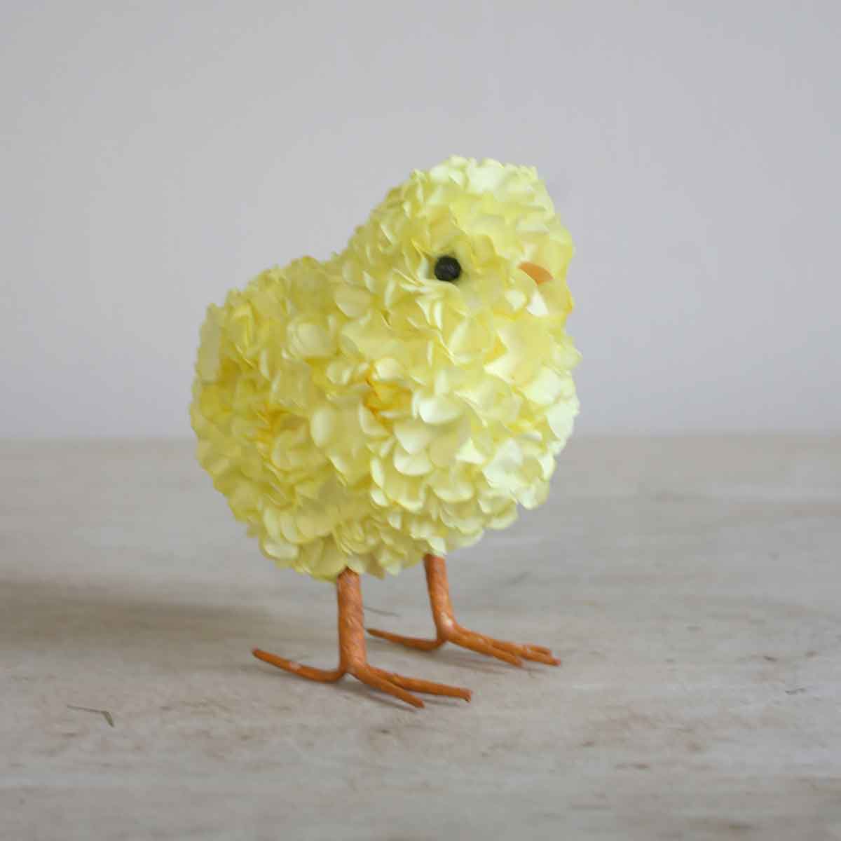 *Hydrangea Chick