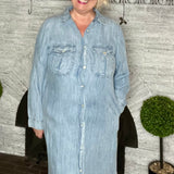 **Fia Chambray Embroidered Shirt Dress