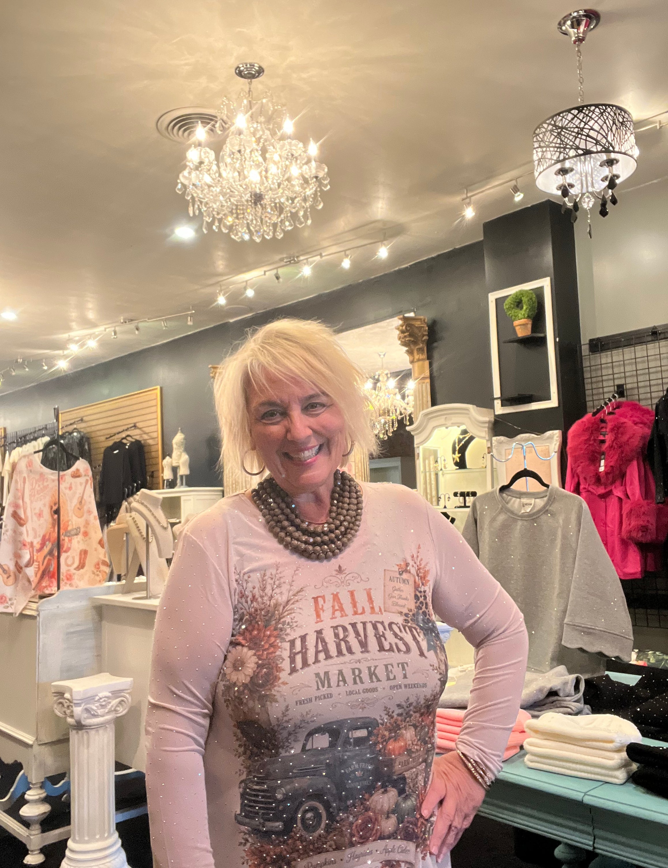 Harvest Sparkly Long Sleeve Sheer Mesh Top