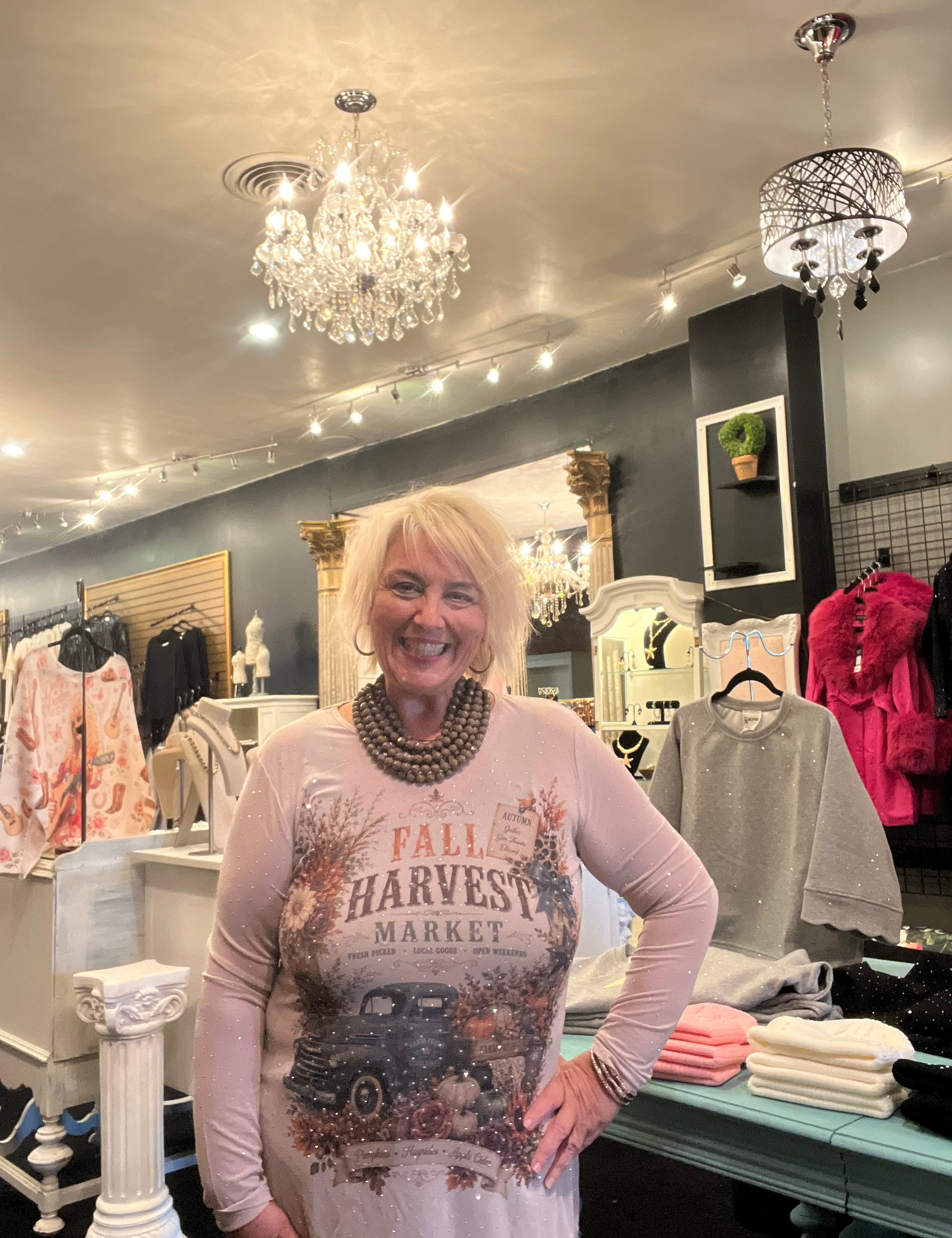 Harvest Sparkly Long Sleeve Sheer Mesh Top