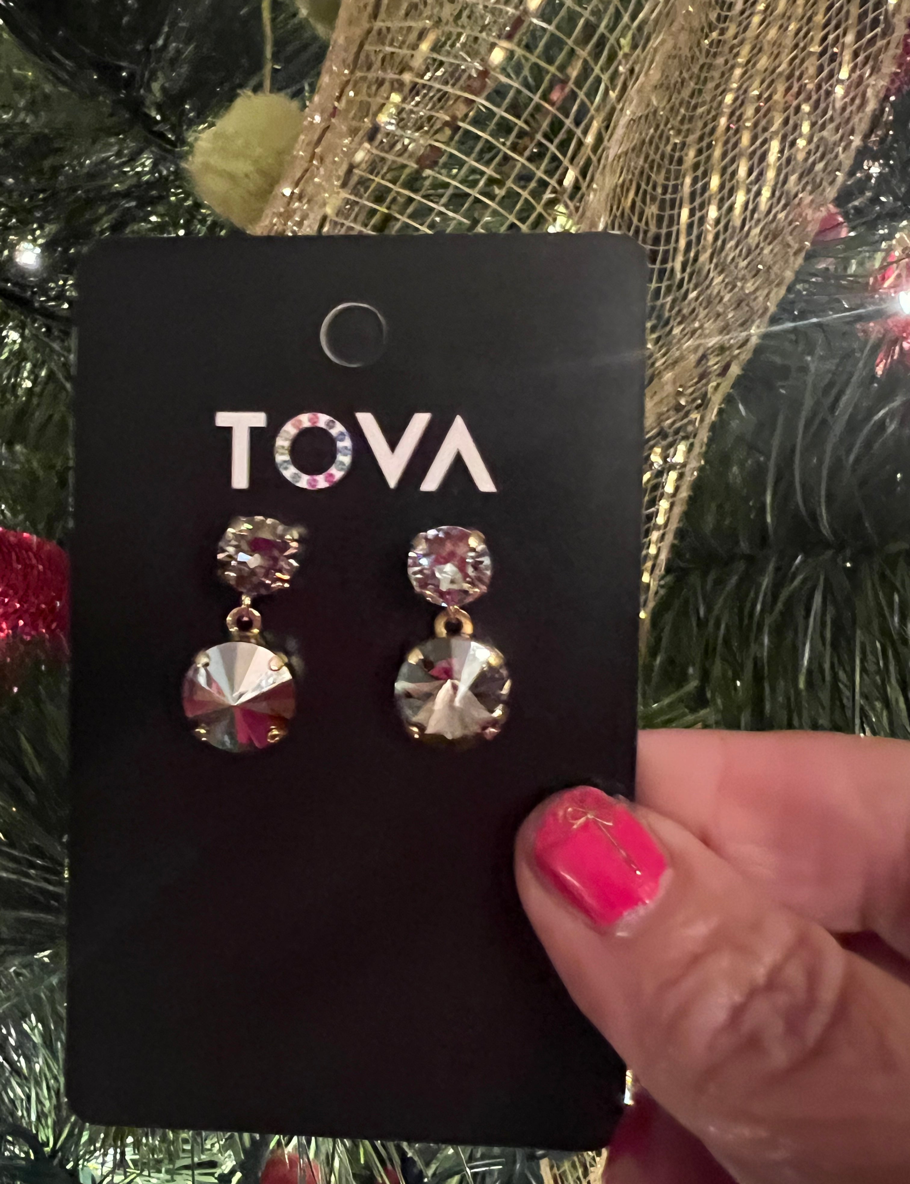 FELICIA EARRINGS IN VELVET