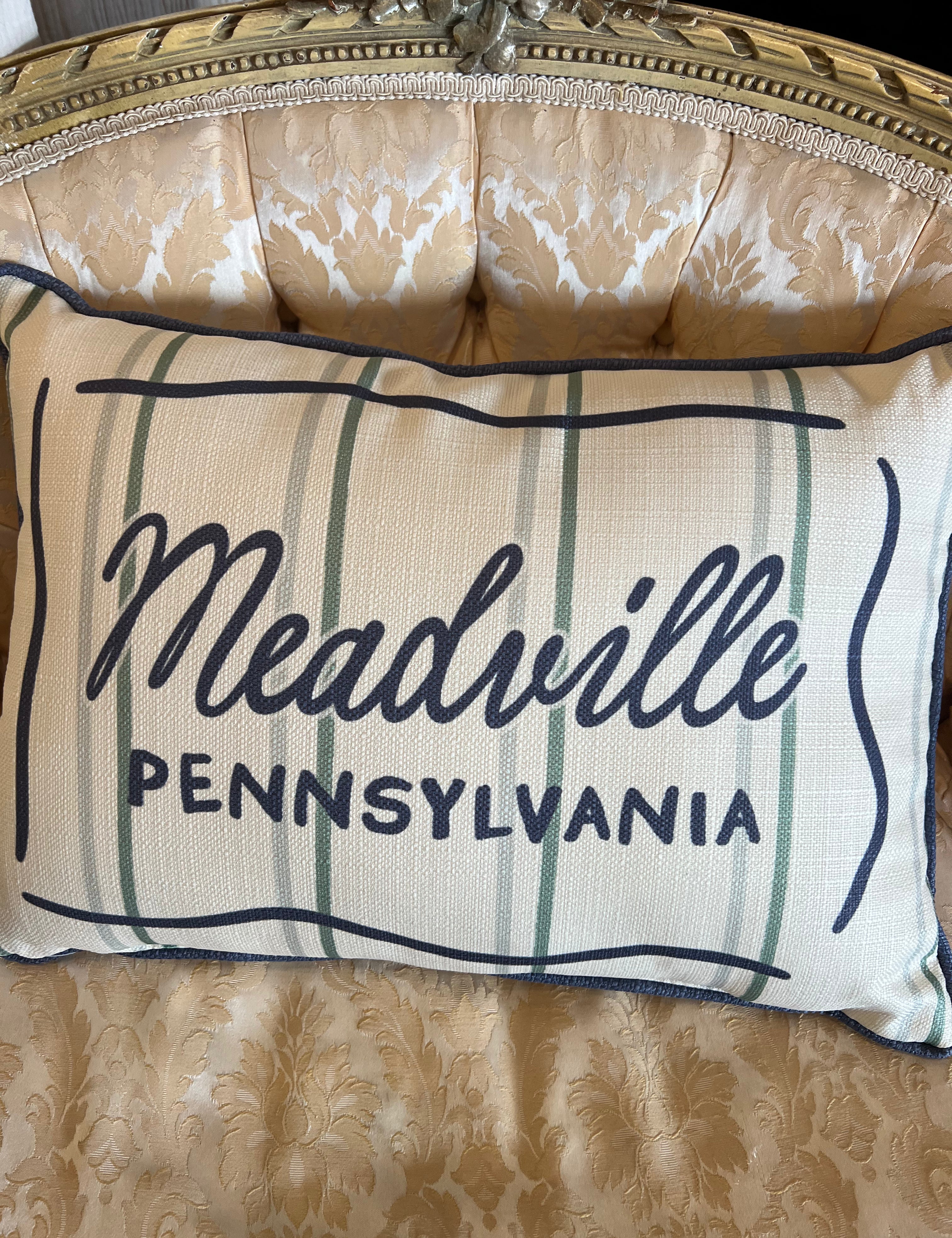 Little Birdie Meadville Pillows