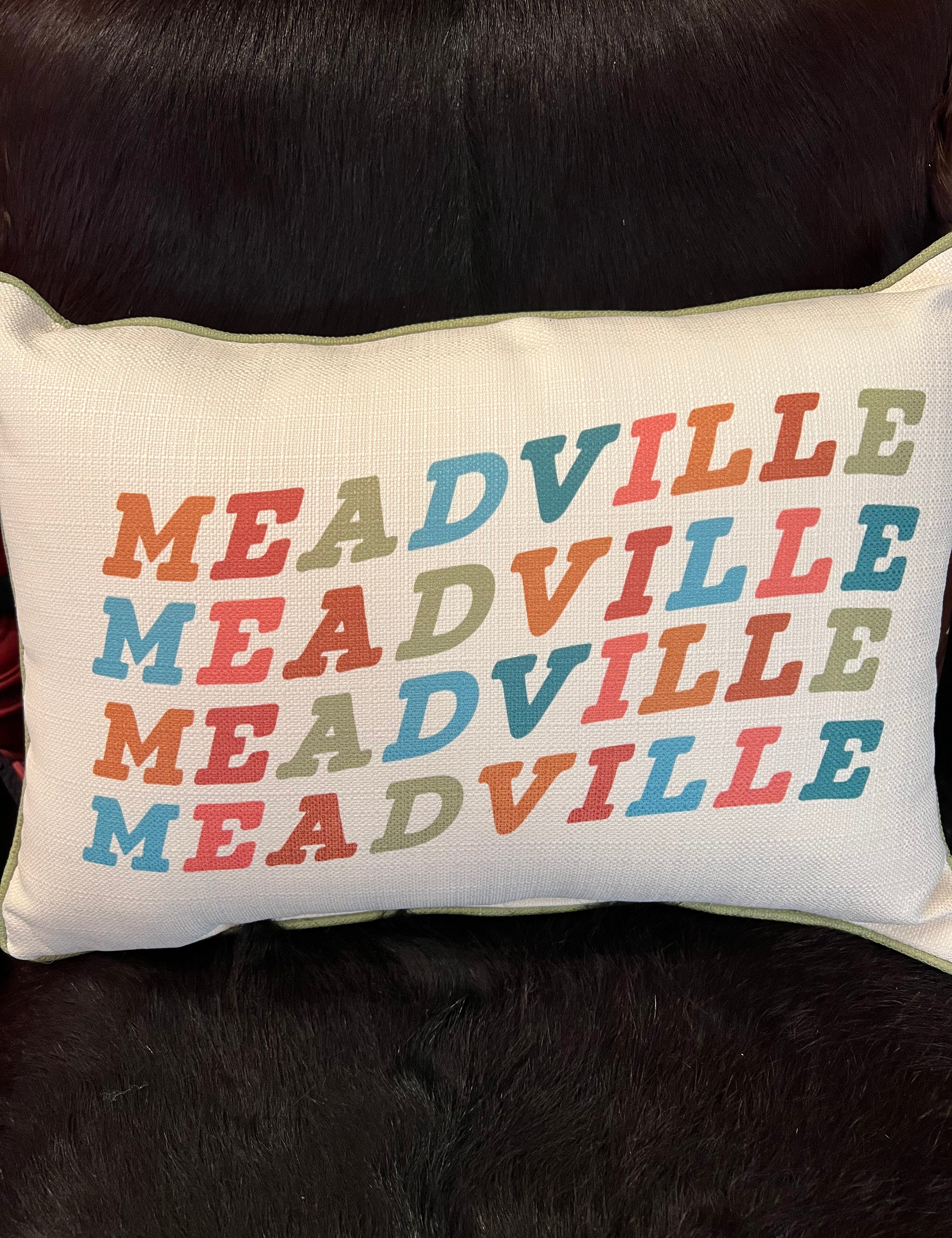 Little Birdie Meadville Pillows